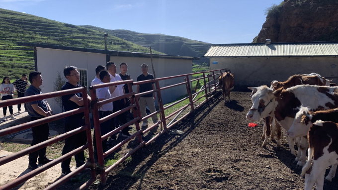 甘肅工程咨詢集團(tuán)黨委書記、董事長宋忠慶一行赴卓尼縣柳林鎮(zhèn)幫扶村調(diào)研慰問