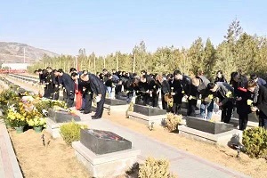 1617789067896016109.jpg 33.jpg